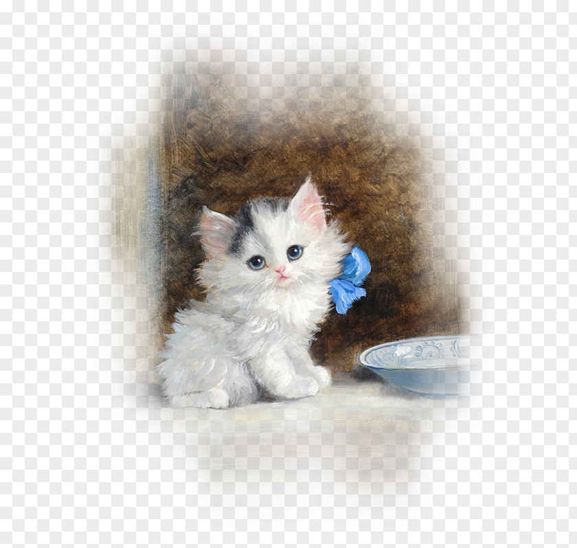 Kitten Cat Pet Painting Drawing PNG