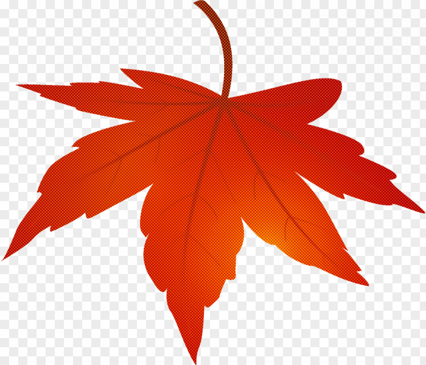 Maple Leaf Autumn Yellow PNG