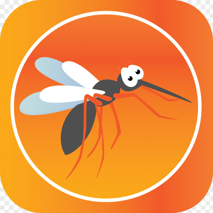 Mosquito Insect Butterfly Bee Pollinator Animal PNG