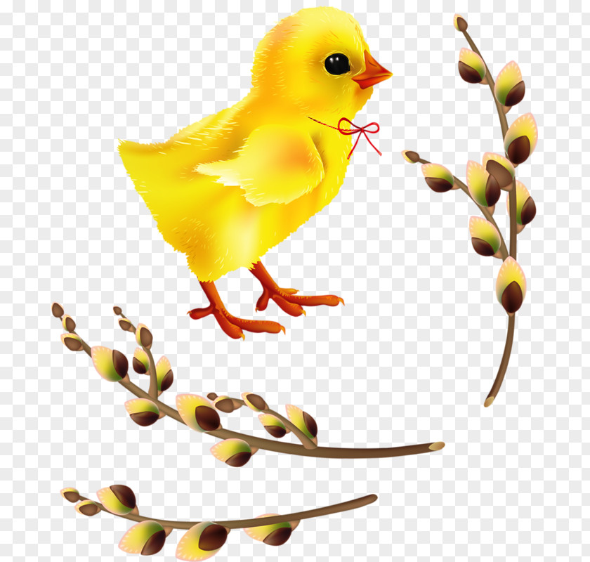 Chicken Easter Clip Art PNG