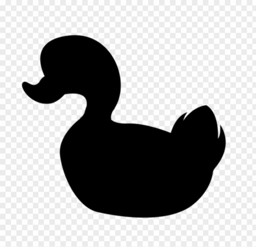 Duck Clip Art Beak Silhouette Water Bird PNG