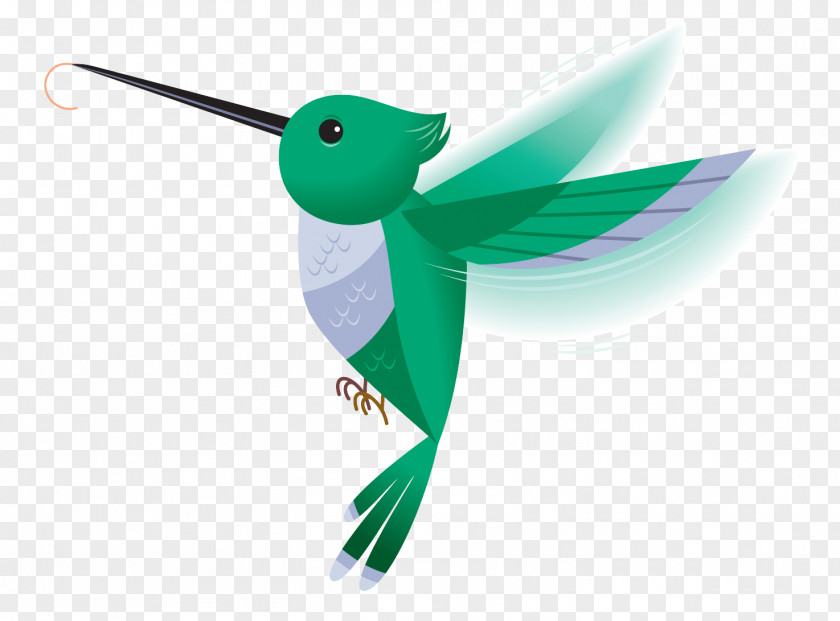 Logo Pollinator Hummingbird PNG