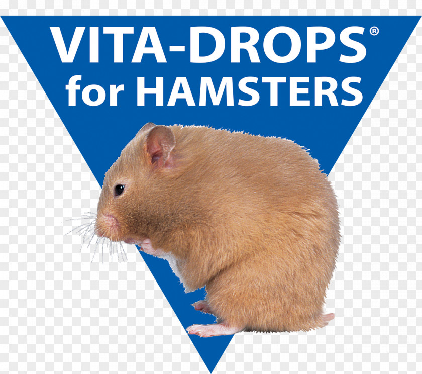 Small Hamster Guinea Pig Dietary Supplement Rodent Vitamin PNG