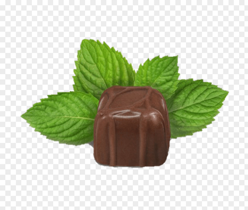 Chocolate Truffle Mint Caffeine PNG