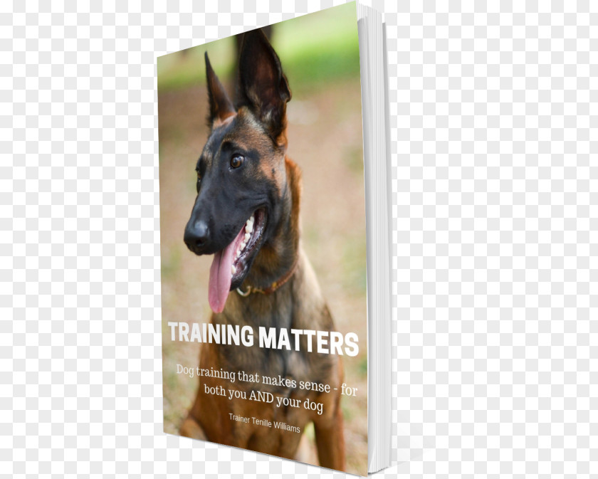 Dog Training German Shepherd Belgian Breed Tervuren Malinois PNG