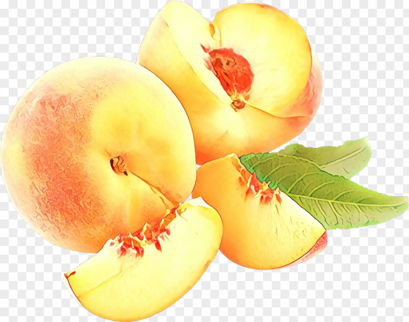 Flower Nectarines Peach PNG