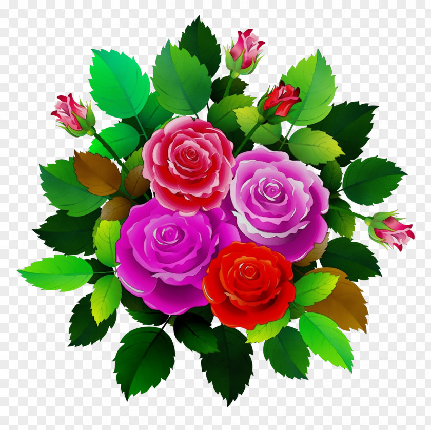 Leaf Petal Garden Roses PNG