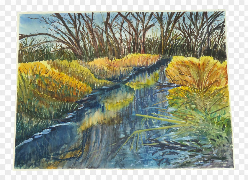 Painting Watercolor Artist Landscape Ecoregion PNG