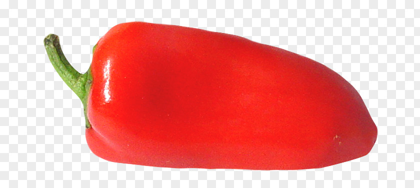 Red Pepper Piquillo Habanero Tabasco Cayenne Capsicum PNG
