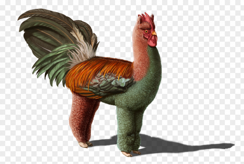 Chicken Hybrid Animals Alpaca PNG