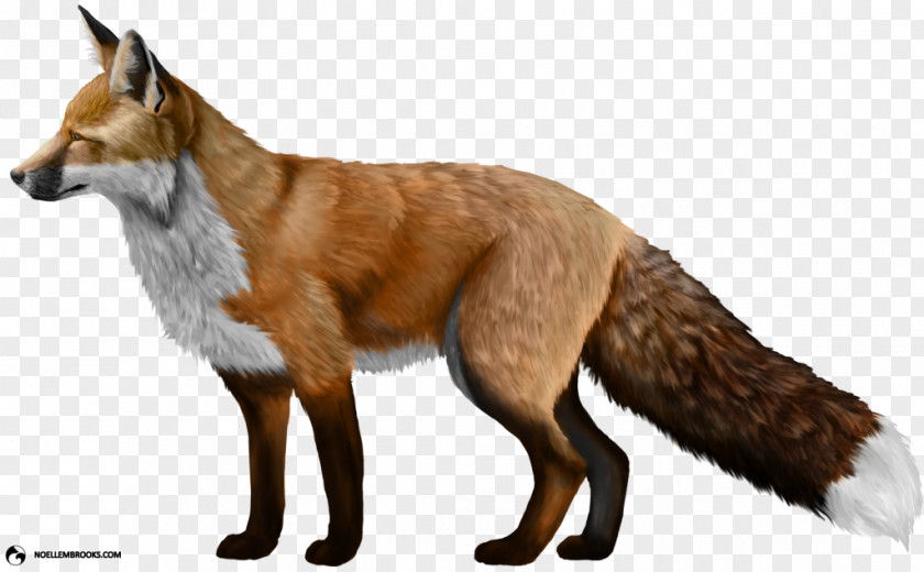 Fox Red Clip Art PNG