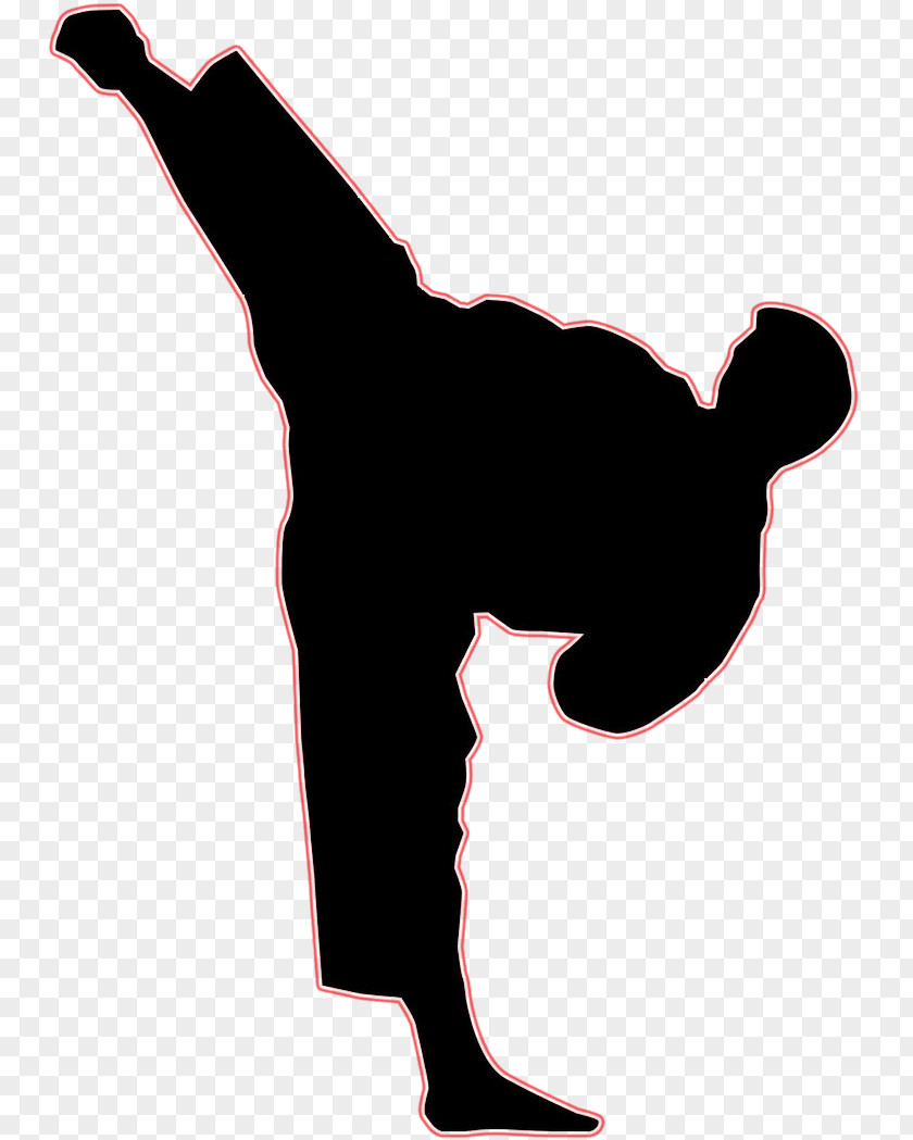 Sidekick Martial Arts Kick Coup De Pied Latéral Clip Art PNG