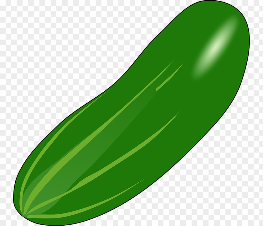 Cucumber Clip Art Openclipart Pickled Vegetable PNG