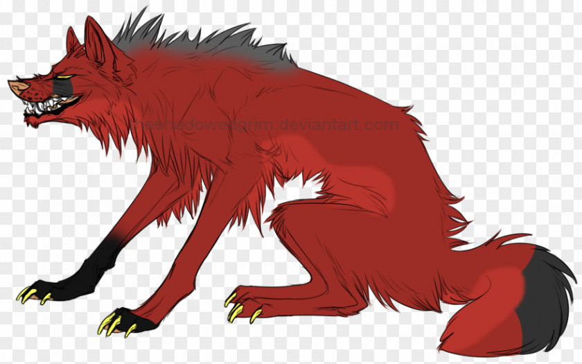 Fox Schipperke Black Wolf Canidae Snout PNG