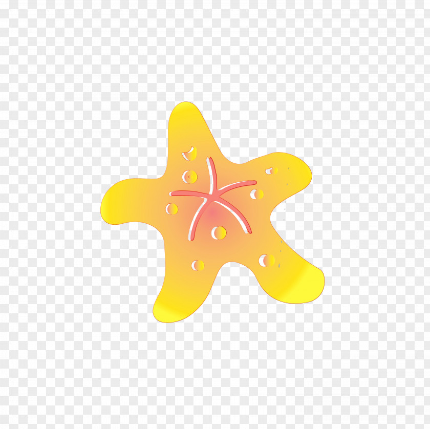 Starfish Marine Invertebrates Yellow Star PNG