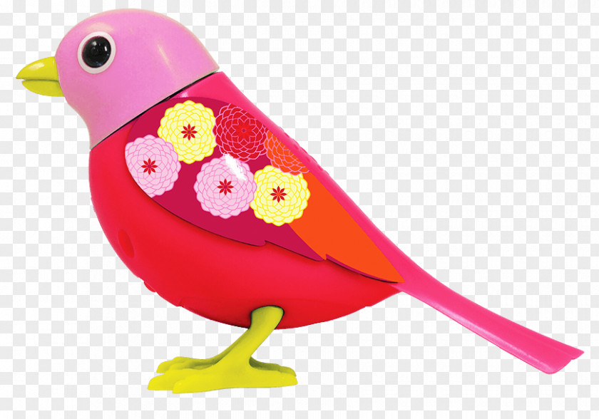 Toy Amazon.com KING JOUET Bird PNG