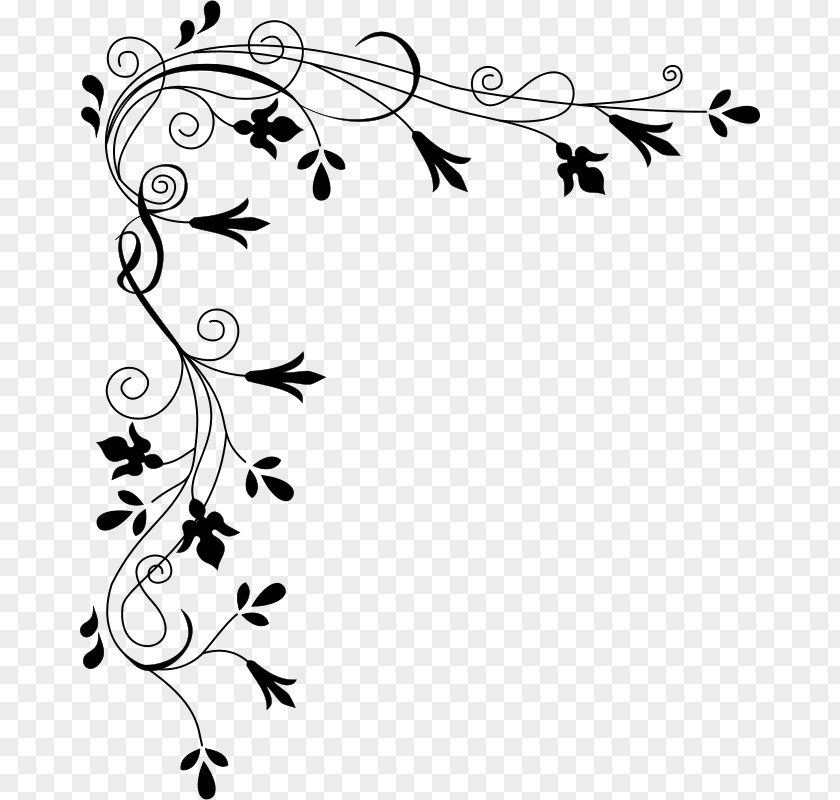 Coloring Book Plant Flower Line Art PNG