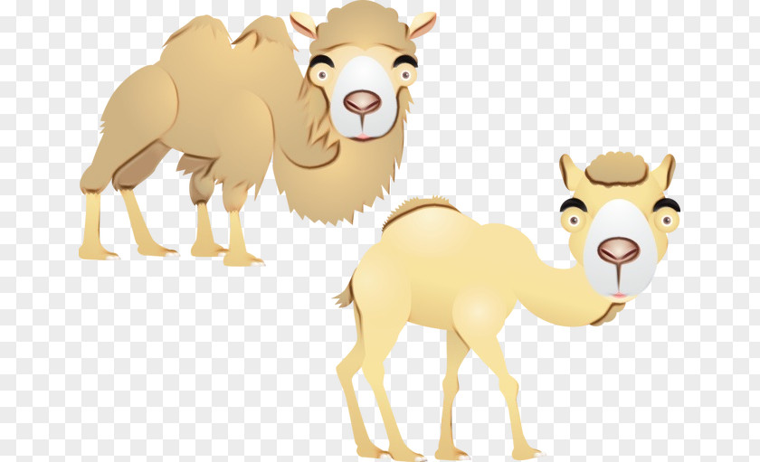 Dromedary Cattle Mammal Clip Art PNG