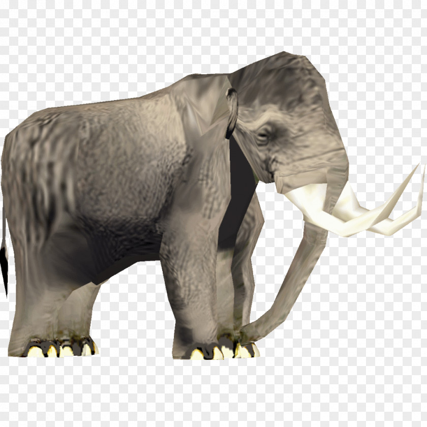 Elephant African Asian Mammuthus Meridionalis Steppe Mammoth PNG