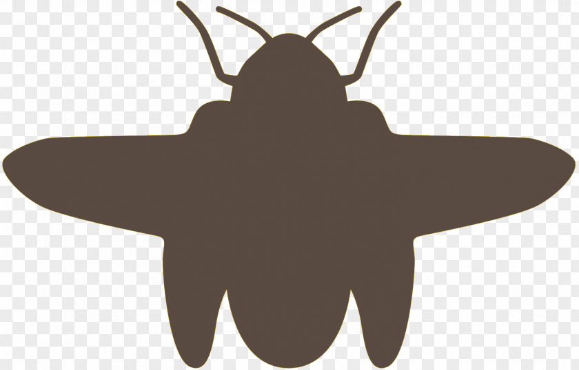 Insect Butterfly M / 0d Clip Art Pollinator PNG