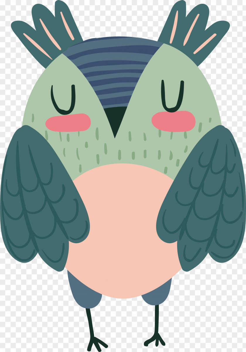 Juvenile Owl Vector Graphics Clip Art Image PNG