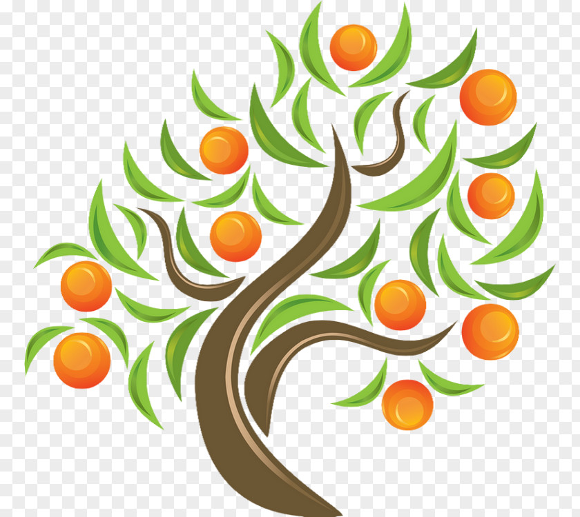 Orange Juice Tangerine Clip Art PNG