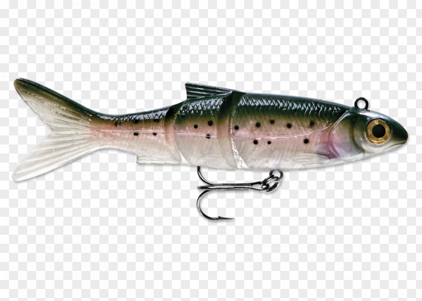 Rainbow Trout Plug Sardine Oily Fish PNG