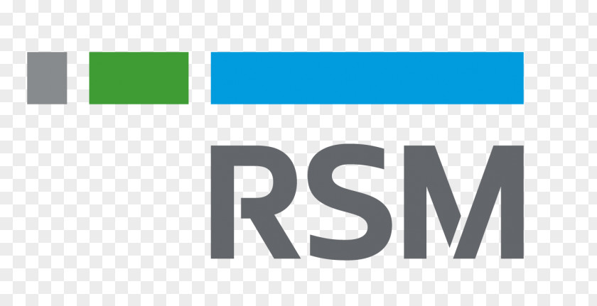RSM International US Logo Accounting Audit PNG