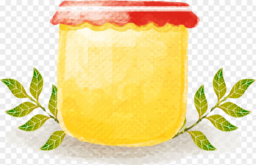 Vector Colored Water With Lemon Sauce Adobe Illustrator Auglis PNG