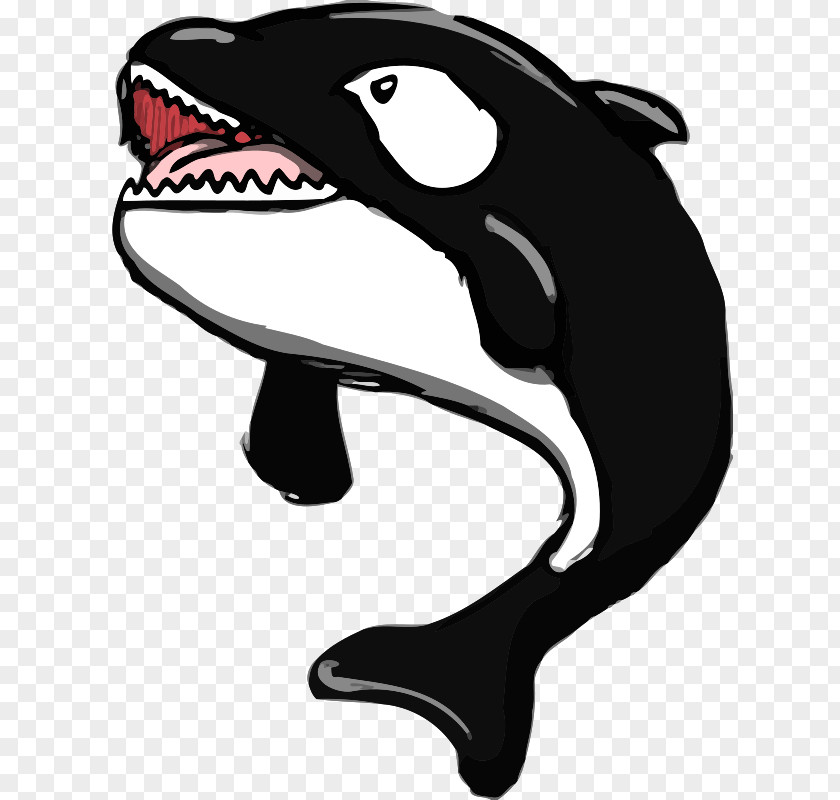 Whale Killer Watching Clip Art PNG
