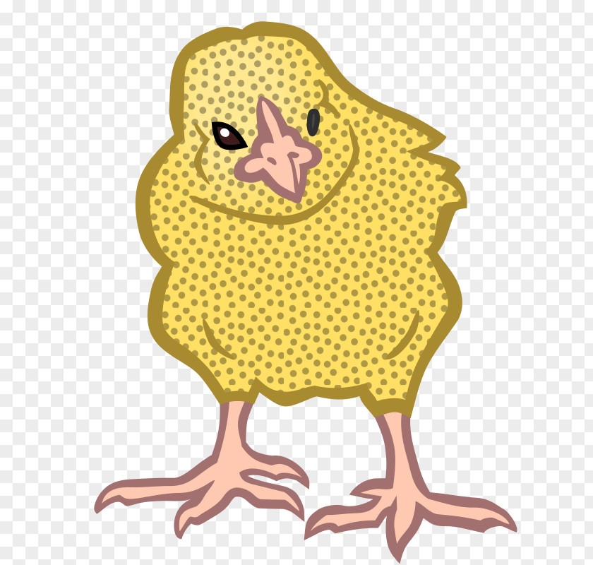 Chicken Clip Art Kifaranga Image PNG