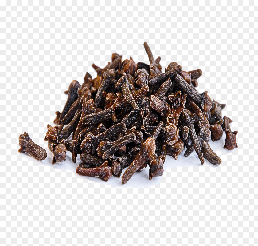 Food Vanilla Clove Spice Plant Ingredient PNG