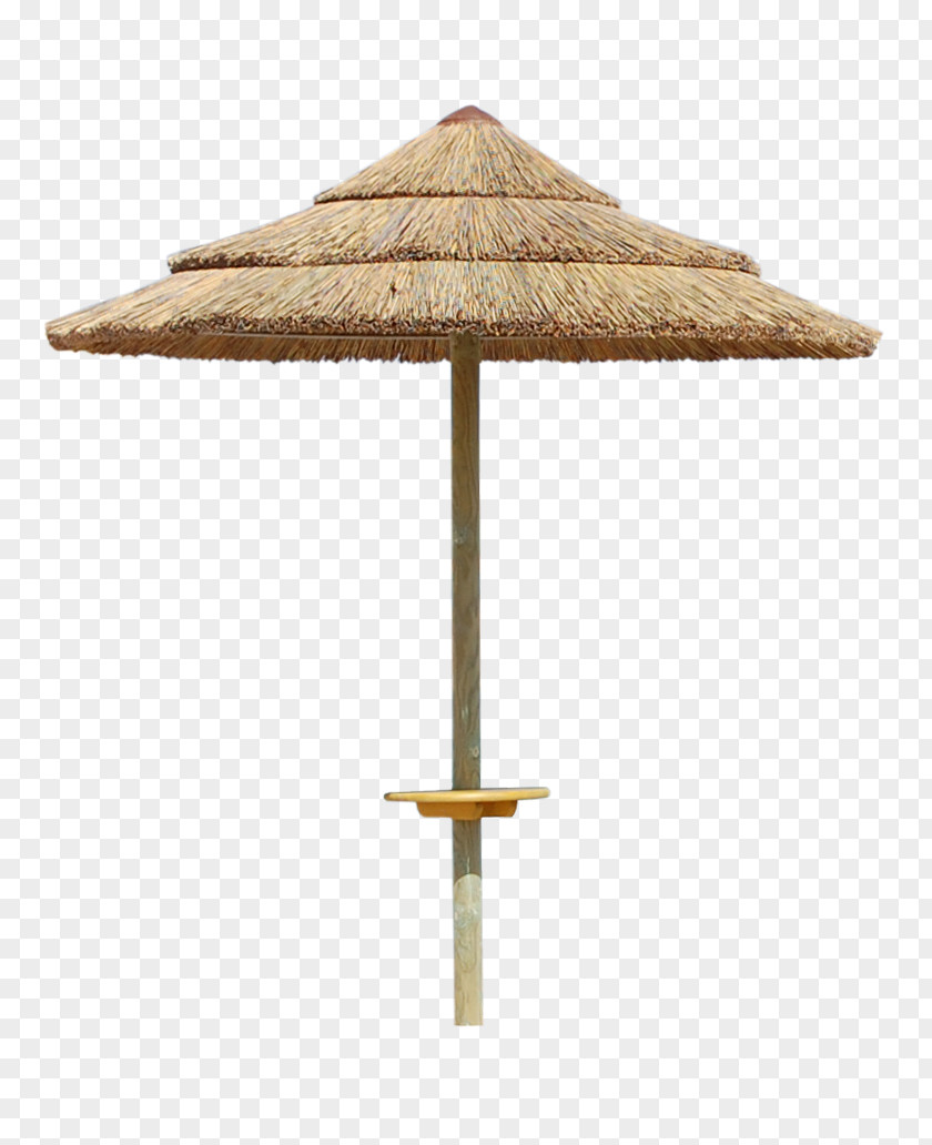 Parasol Tropical Woody Bamboos Reed Cots Wing Chair Rattan PNG