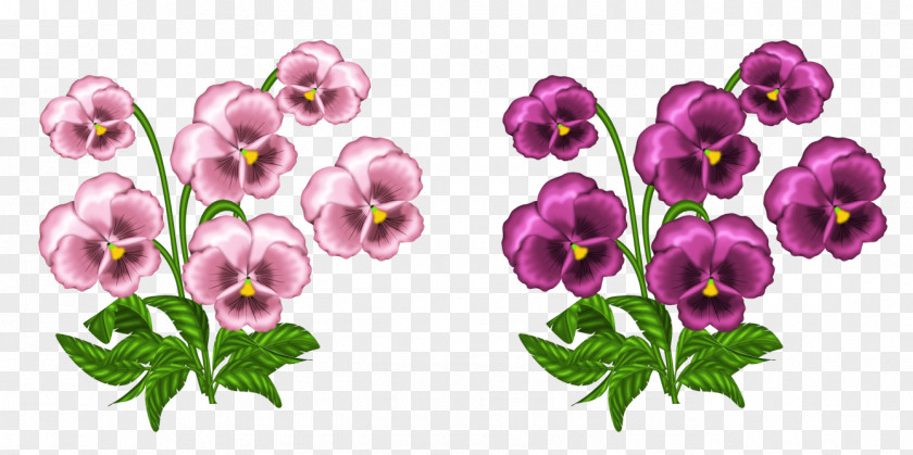 Pink Violets Clipart African Clip Art PNG