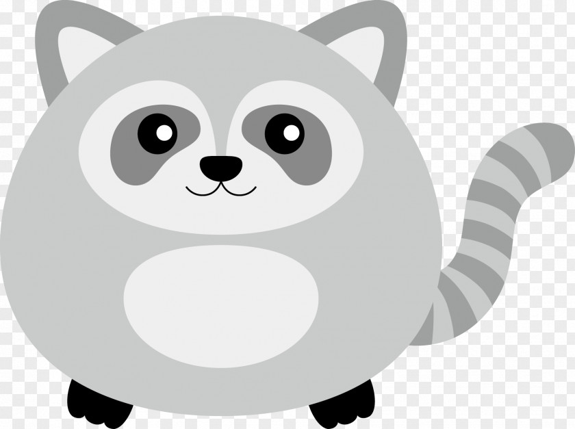Raccoon Vector Whiskers Cartoon Illustration PNG