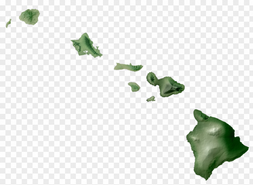 Aloha Welcome To Hawaii Kalawao County, Maui Kauai PNG