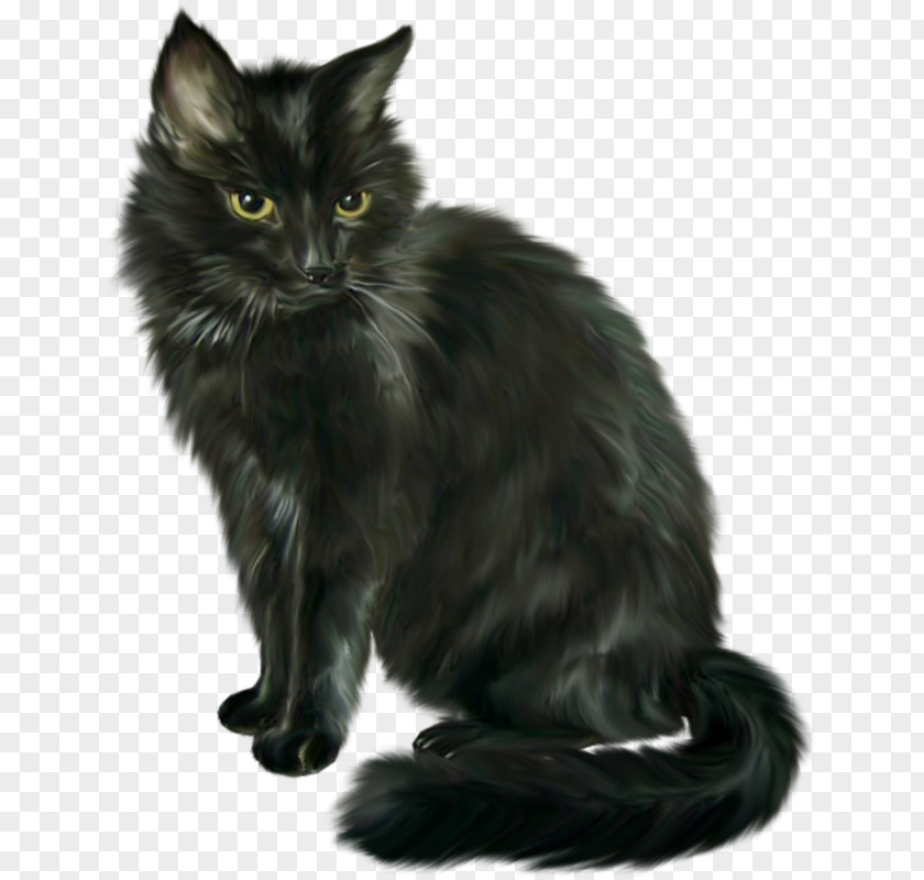Black Cat Halloween Horror Clip Art PNG