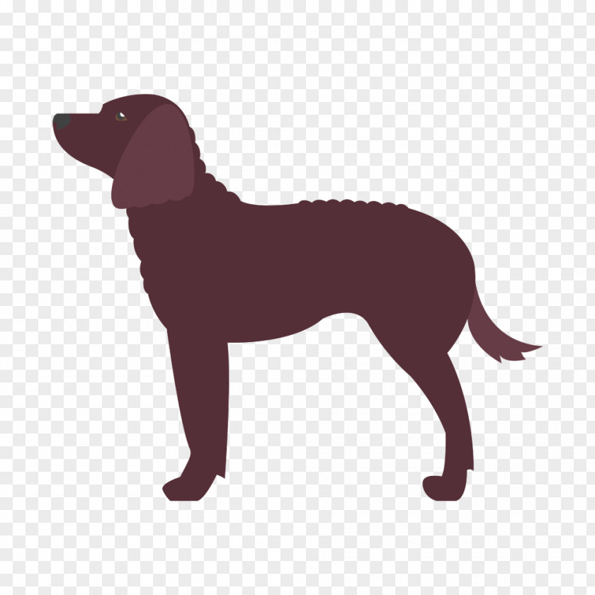 Springer Spaniel Labrador Retriever Dog Breed American Water English Foxhound PNG