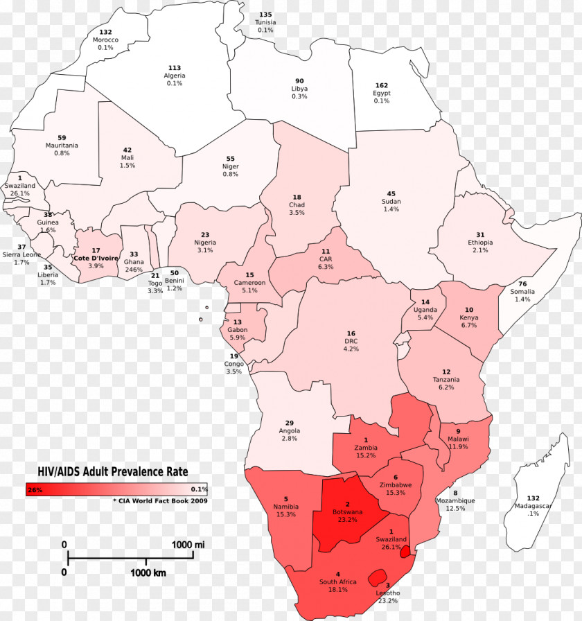 Africa Cartoon Ecoregion Line PNG