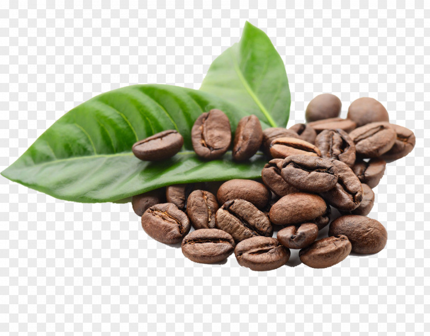 Coffee Beans Element Arabica Espresso Kona Bean PNG