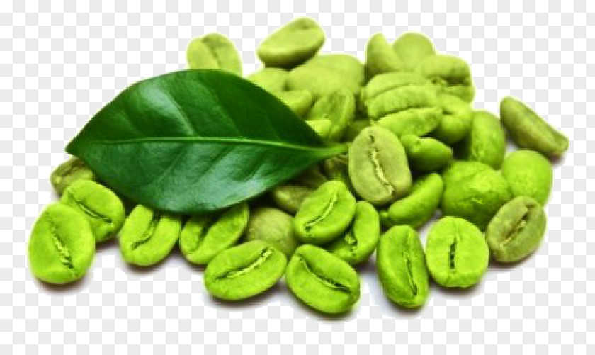Coffee Green Extract Tea Bean PNG