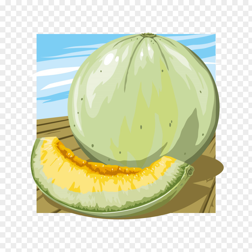 Hami Melon Farmland Background Watermelon Cantaloupe Fruit PNG
