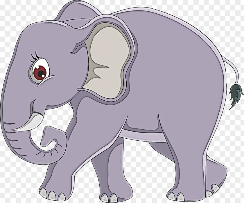 Indian Elephant PNG