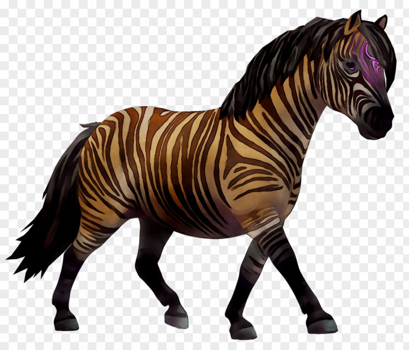 Mustang Star Stable Stallion Quagga Zebra PNG