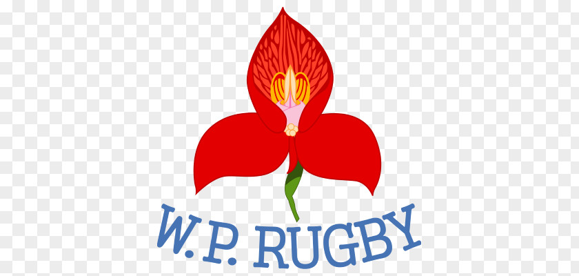 National Primary School Western Province Currie Cup Vodacom Stormers Free State Cheetahs PNG