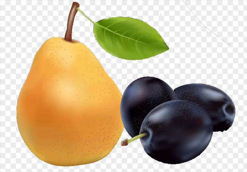 Pear Fruit European Food PNG