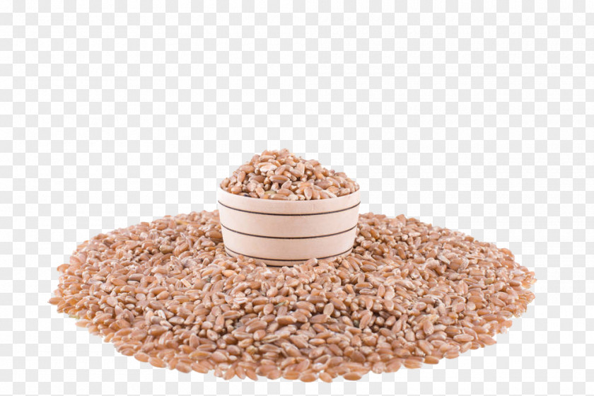 A Small Bowl In The Wheat Cereal Seed Grain PNG