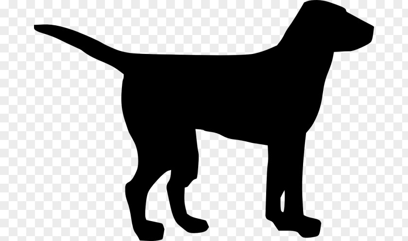 Clip Art Dog Transparent Background Pug Labrador Retriever Golden Puppy PNG