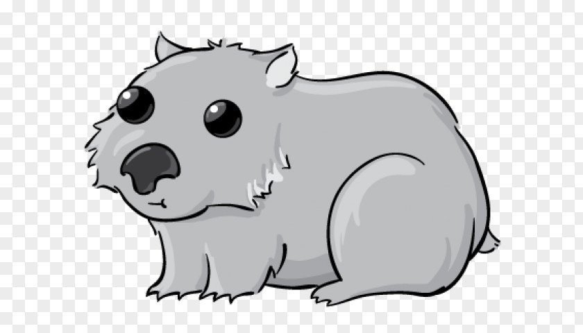 Line Art Snout Cartoon Wombat PNG