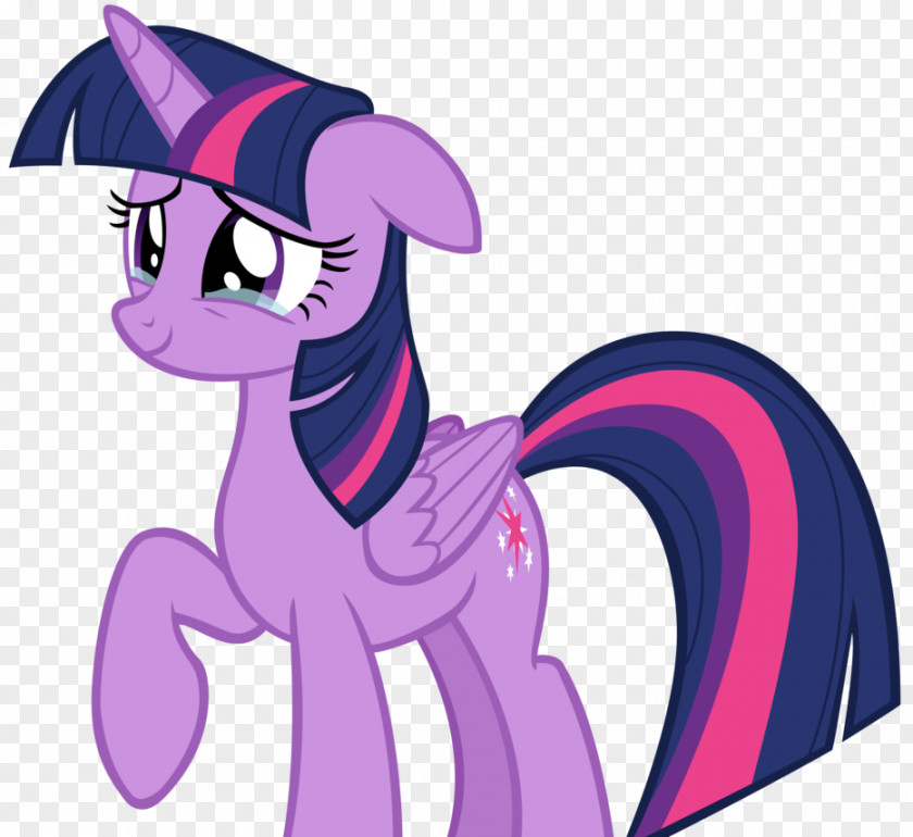 My Little Pony Twilight Sparkle Rarity Pinkie Pie Spike PNG
